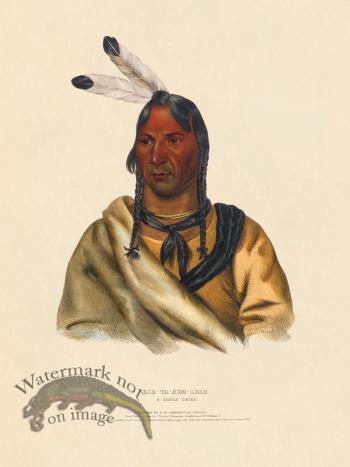 Esh-ta-hum-leah Sioux